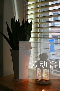 劳动合同法 合同变更 劳动合同法 合同变更